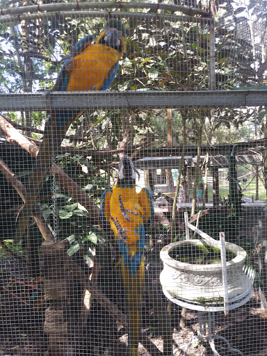 Animal Rescue Service «Nanny’s Educational Zoo And Rescue», reviews and photos, 1139 Livingston Rd, Lutz, FL 33559, USA