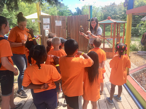 Farm «Wild Hearts Zoo - African Farm and Petting Zoo», reviews and photos, 8079 Salem Rd, Lewisburg, OH 45338, USA