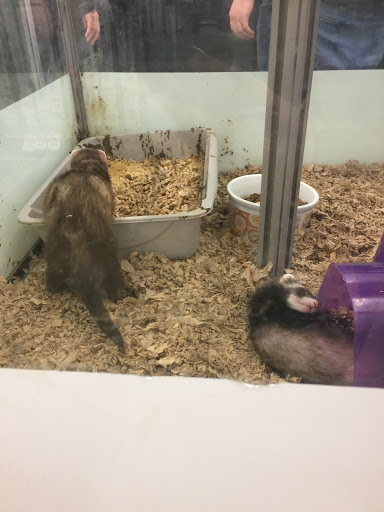 Pet Supply Store «Pet Supplies Plus», reviews and photos, 299 Roosevelt Rd, Glen Ellyn, IL 60137, USA