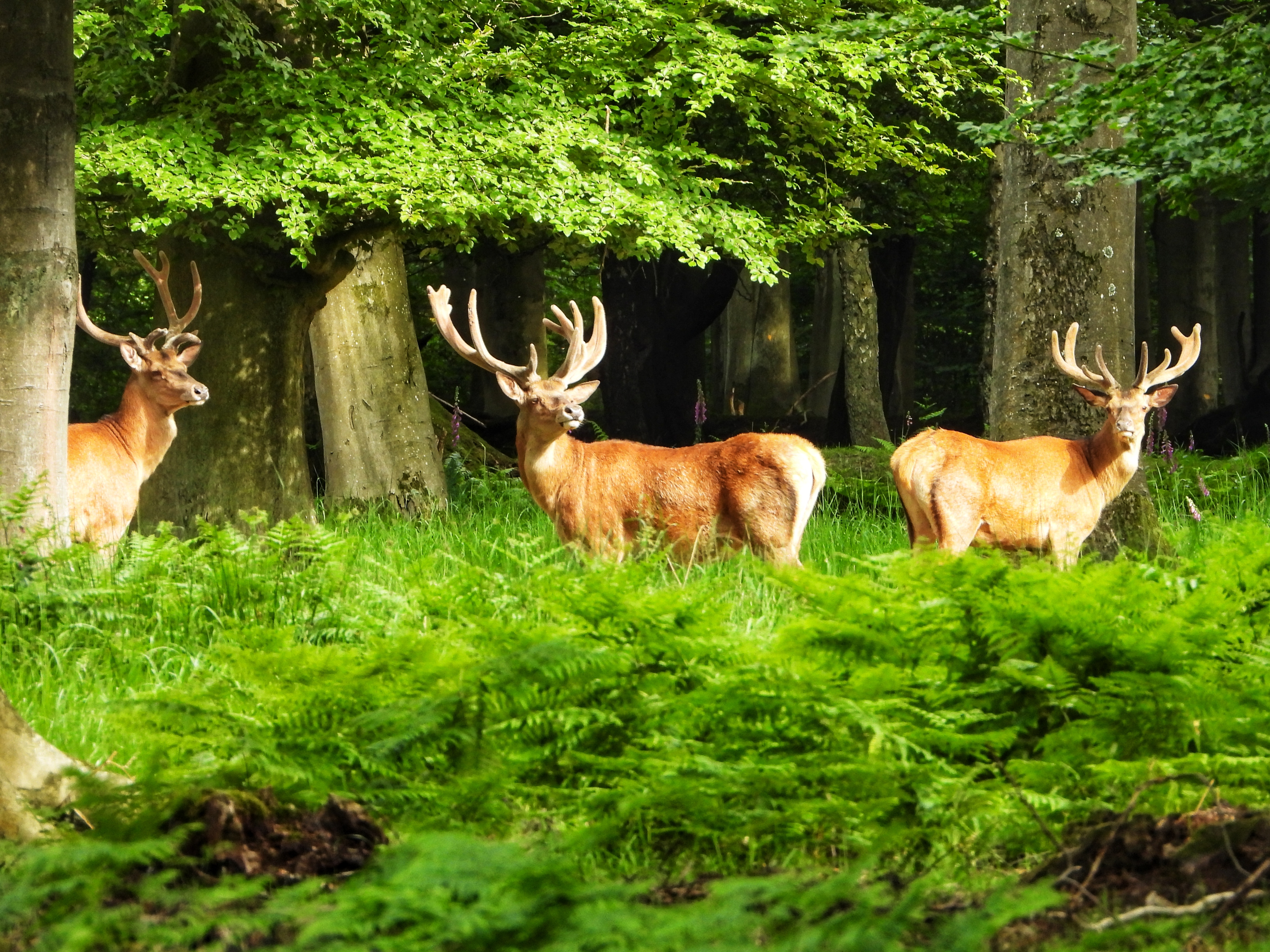 Photo n° 1 de l'avis de Mathias.e fait le 19/06/2019 à 08:05