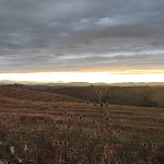 Photo n°4 de l'avis de samantha.t fait le 04/08/2023 à 21:53 sur le  Ristorante Pizzeria La Capannina à Siena