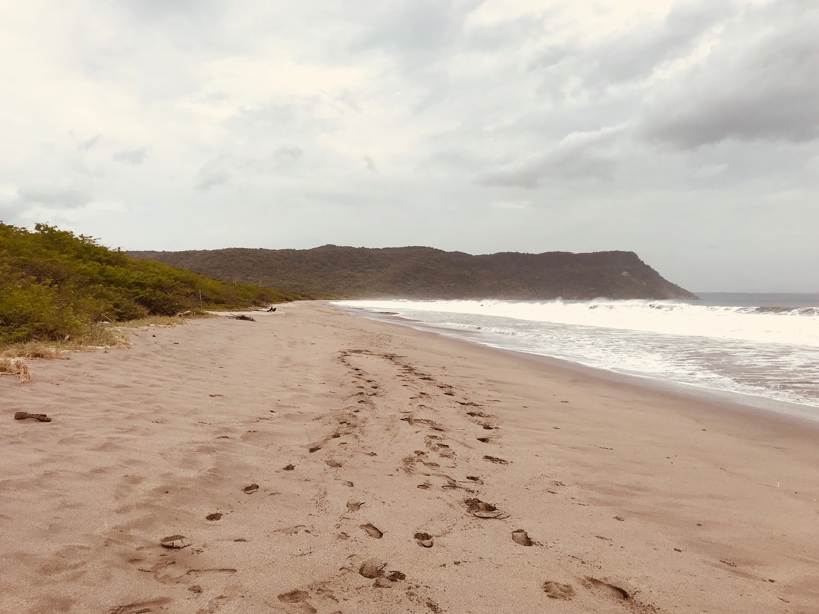 Naranjo beach II的照片 带有碧绿色水表面