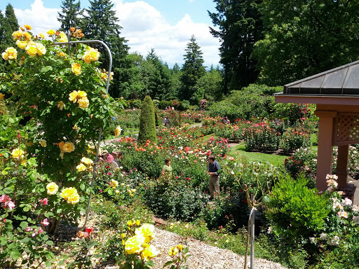 Stadium «Providence Park», reviews and photos, 1844 SW Morrison St, Portland, OR 97205, USA