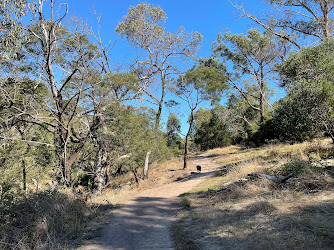 The Briars Community Forest