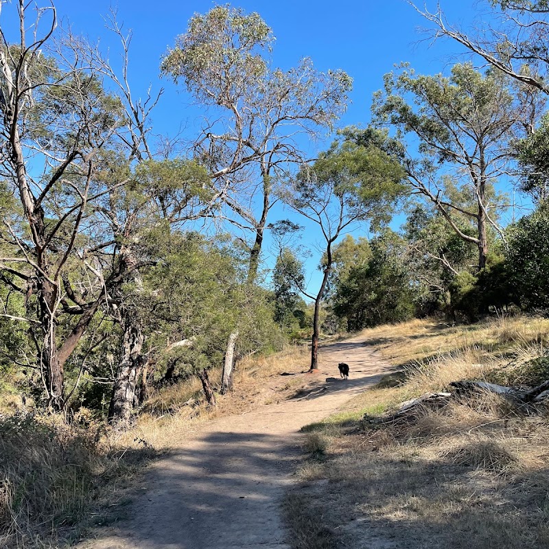 The Briars Community Forest