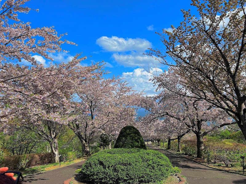 手宮公園 駐車場