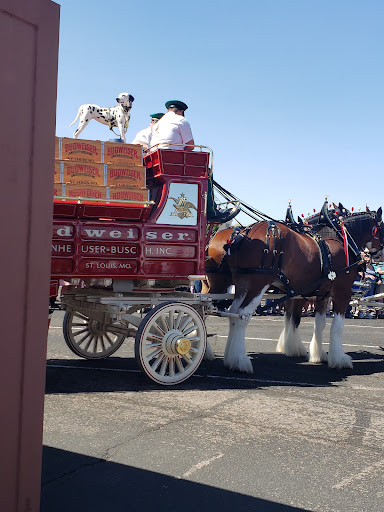 Shopping Mall «Mesa Market Place Swap Meet», reviews and photos, 10550 E Baseline Rd, Mesa, AZ 85209, USA