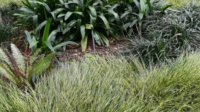 Opinii despre ProLand kertépítés kertgondozás în Budapest - Kertészkedő