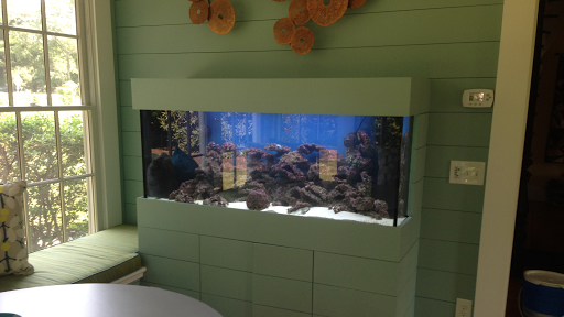 Pet Store «Fish Bowl Aquarium & Pet Mart», reviews and photos, 725 Providence St, West Warwick, RI 02893, USA