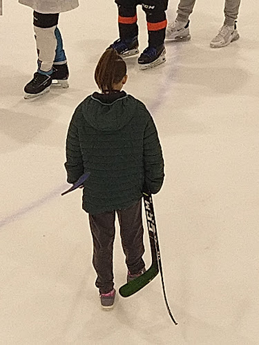 Érdi Jégcsarnok - Sportpálya