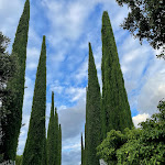 Photo n°1 de l'avis de Kate.i fait le 08/10/2023 à 19:14 sur le  Ripa Relais à Ripa