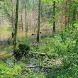 Etang de Bouleyres