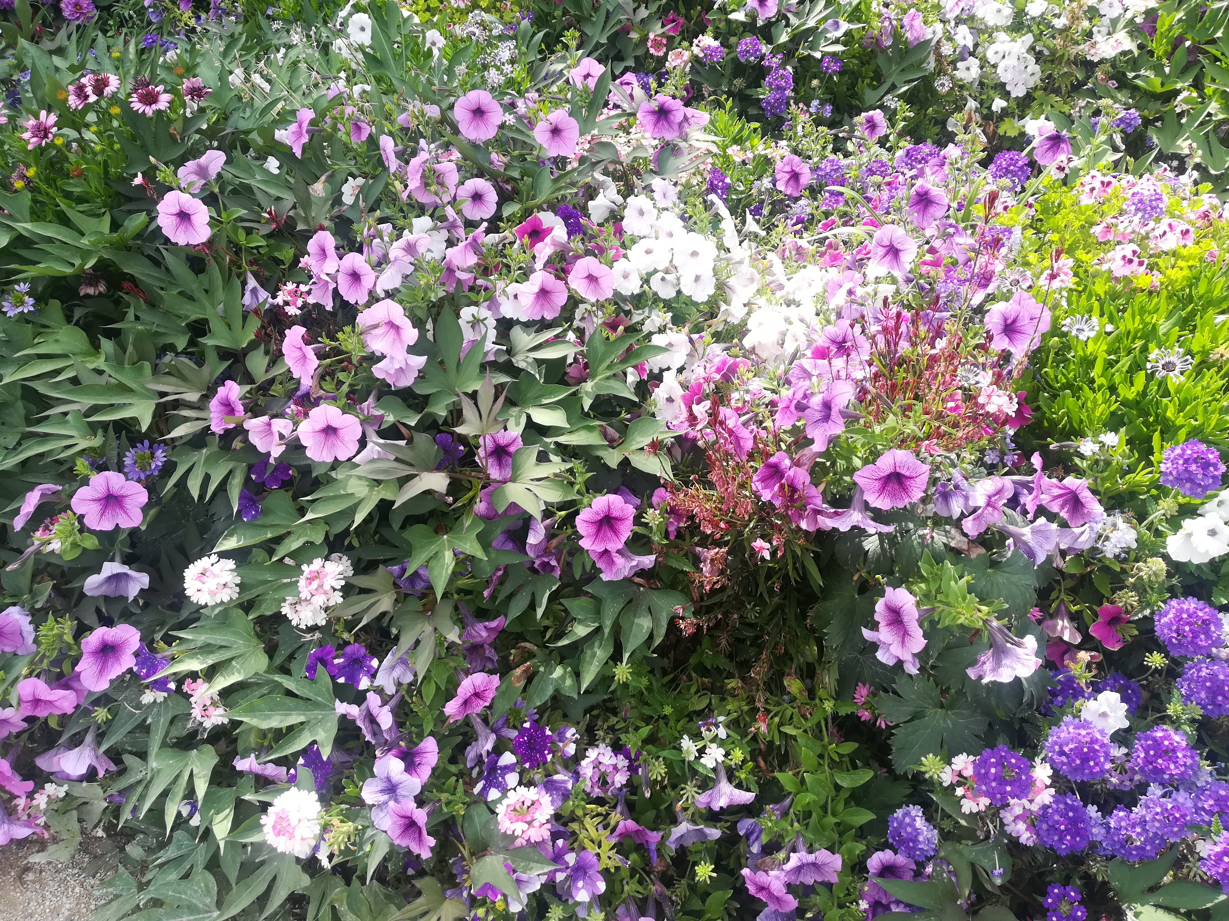 Photo n° 4 de l'avis de teresa.e fait le 13/08/2020 à 16:49