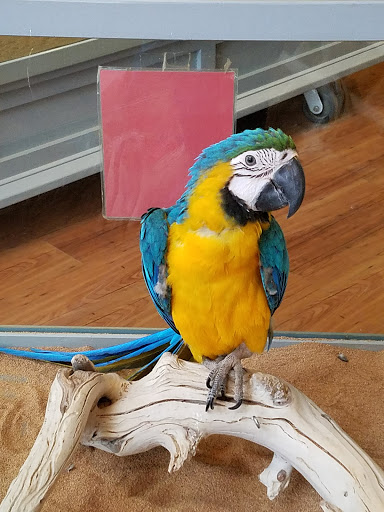 Pet Store «Lebanon Pet & Aquarium Center», reviews and photos, 196 S Main St, West Lebanon, NH 03784, USA