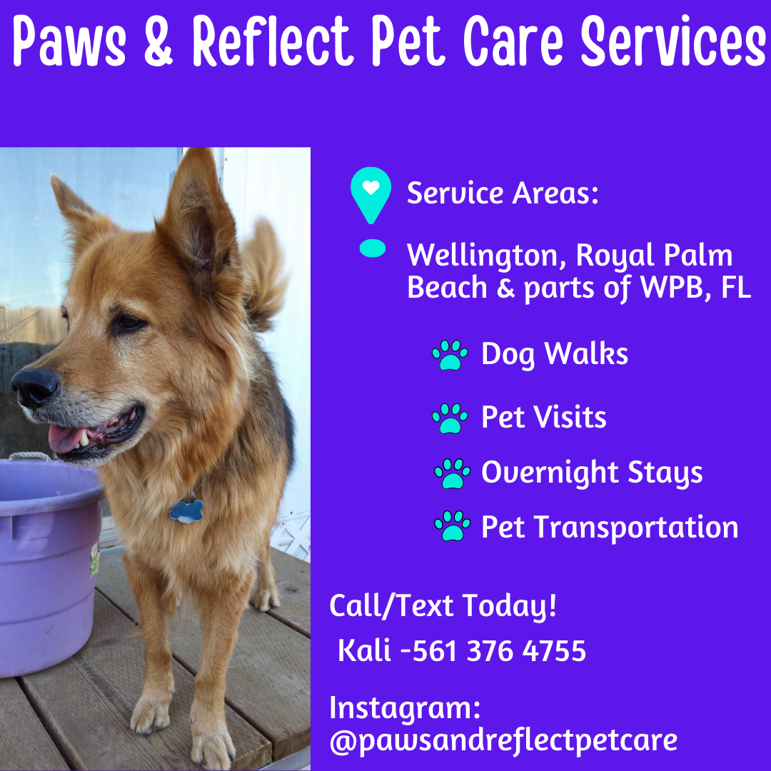 Paws & Reflect, LLC