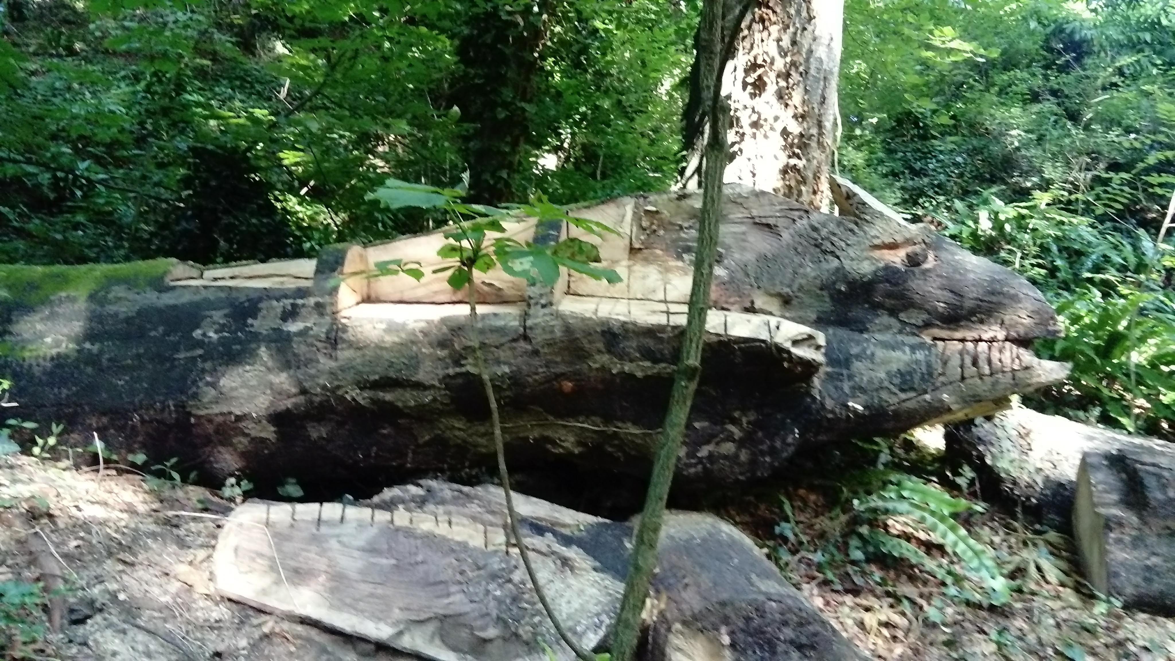Photo n° 2 de l'avis de Viviane.e fait le 07/07/2019 à 16:24