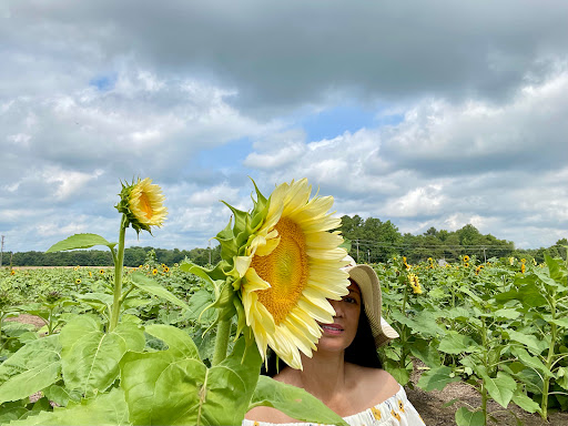 Fruit and Vegetable Store «Henley Farm», reviews and photos, 3513 Charity Neck Rd, Virginia Beach, VA 23456, USA