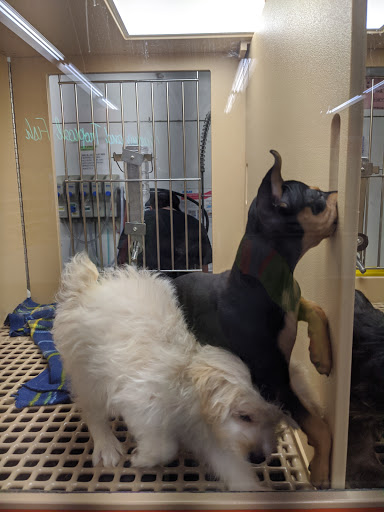 Pet Store «Petland», reviews and photos, 1600 Turner McCall Blvd, Rome, GA 30161, USA