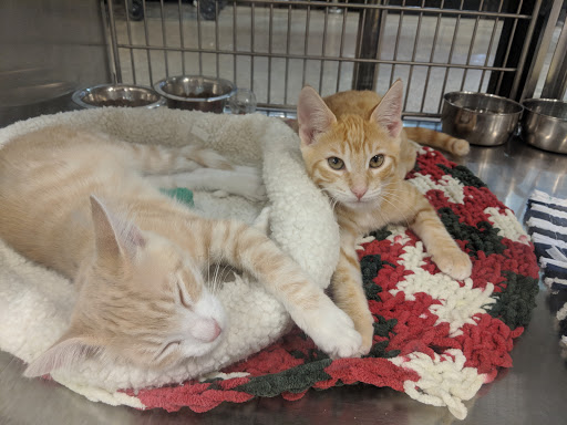 Pet Supply Store «PetSmart», reviews and photos, 1196 W Olive Ave, Merced, CA 95348, USA