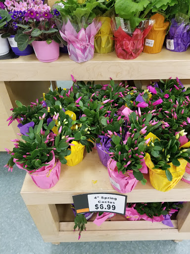 Grocery Store «Stop & Shop», reviews and photos, 90 Pleasant Valley St, Methuen, MA 01844, USA