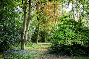 Askham Bryan Wildlife & Conservation Park image