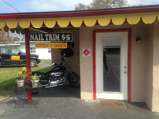 Doggy Styles Pet Salon, 6310 Congress St, New Port Richey, FL 34653, USA, 