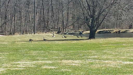 Farm «White Silo Farm & Winery», reviews and photos, 32 CT-37, Sherman, CT 06784, USA