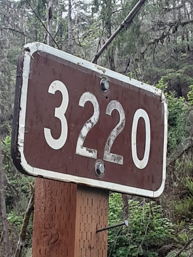 National Forest «Umpqua National Forest», reviews and photos, 1121 Houser Ct, Idleyld Park, OR 97447, USA