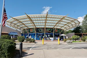 Mystic Aquarium image