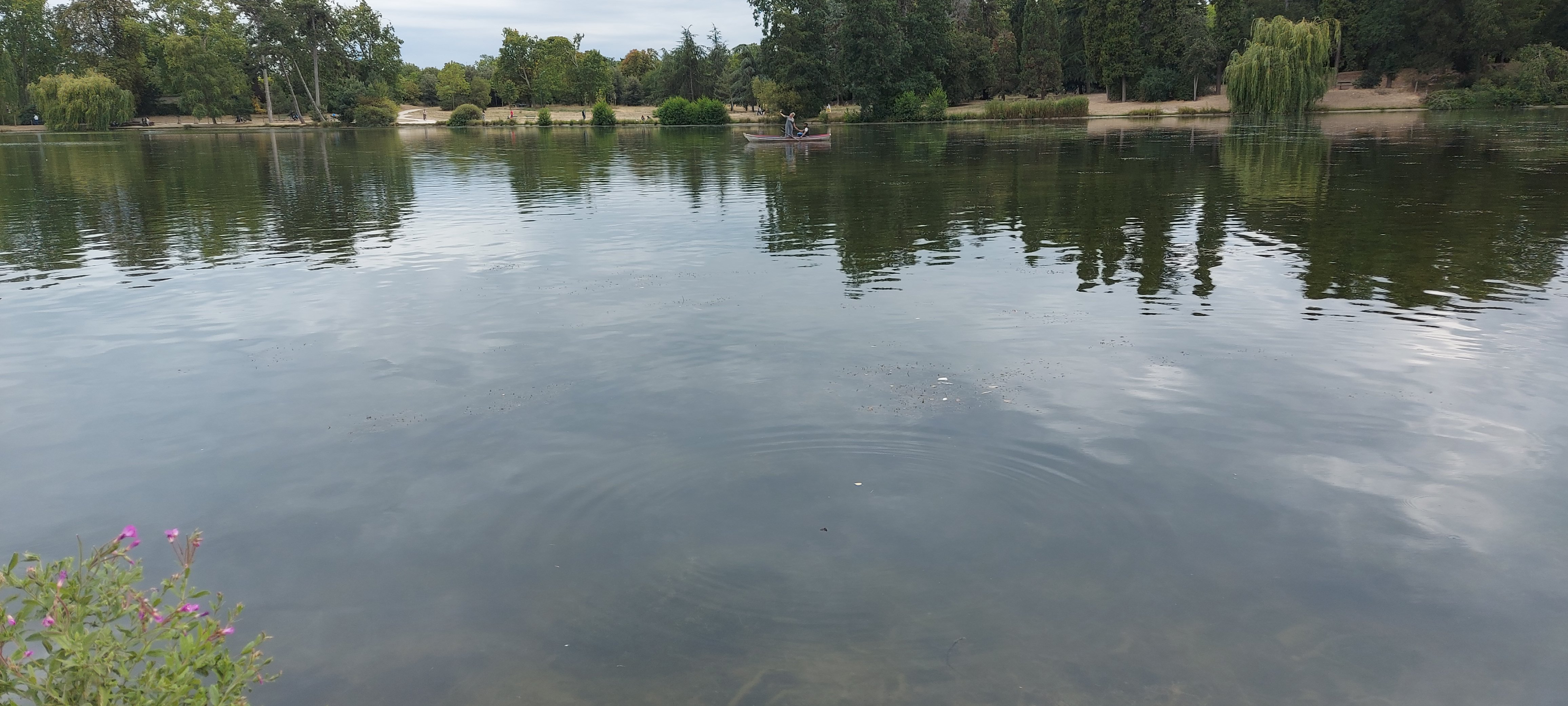 Photo n° 13 de l'avis de unmecdesannees80. fait le 20/07/2020 à 05:32