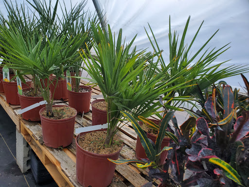 Garden Center «Beachside Gardens & Gifts», reviews and photos, 3725 US-12, Michigan City, IN 46360, USA