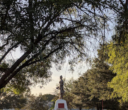 Plaza De La Luz photo