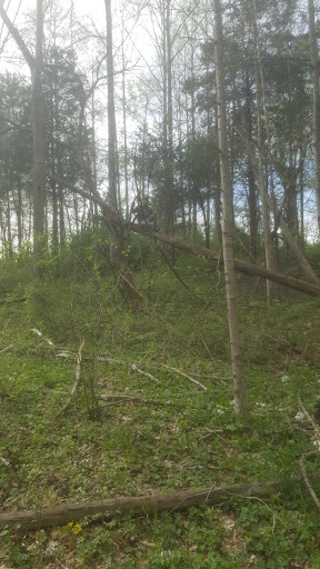 Park «Jaycee Park», reviews and photos, 1681 Airport Rd, Greencastle, IN 46135, USA