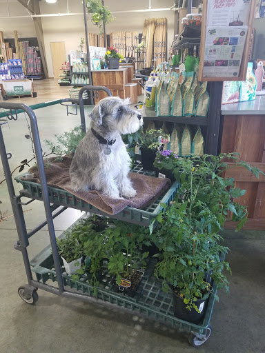 Green Acres Nursery & Supply image