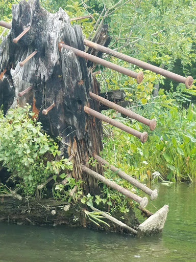 Tourist Attraction «Mallows Bay», reviews and photos, 1440 Wilson Landing Rd, Nanjemoy, MD 20662, USA