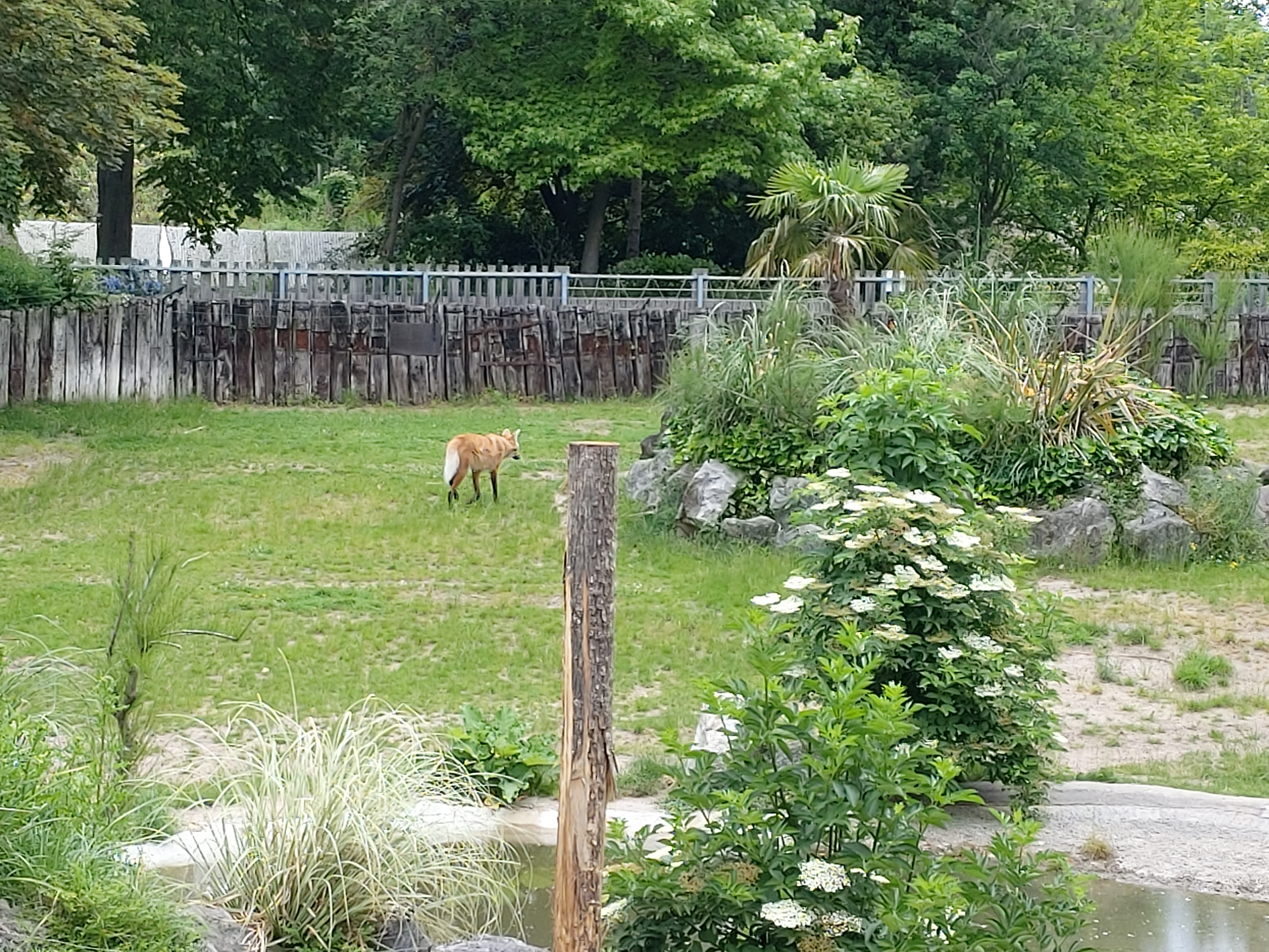 Photo n° 4 de l'avis de DJ.i fait le 12/06/2021 à 15:42