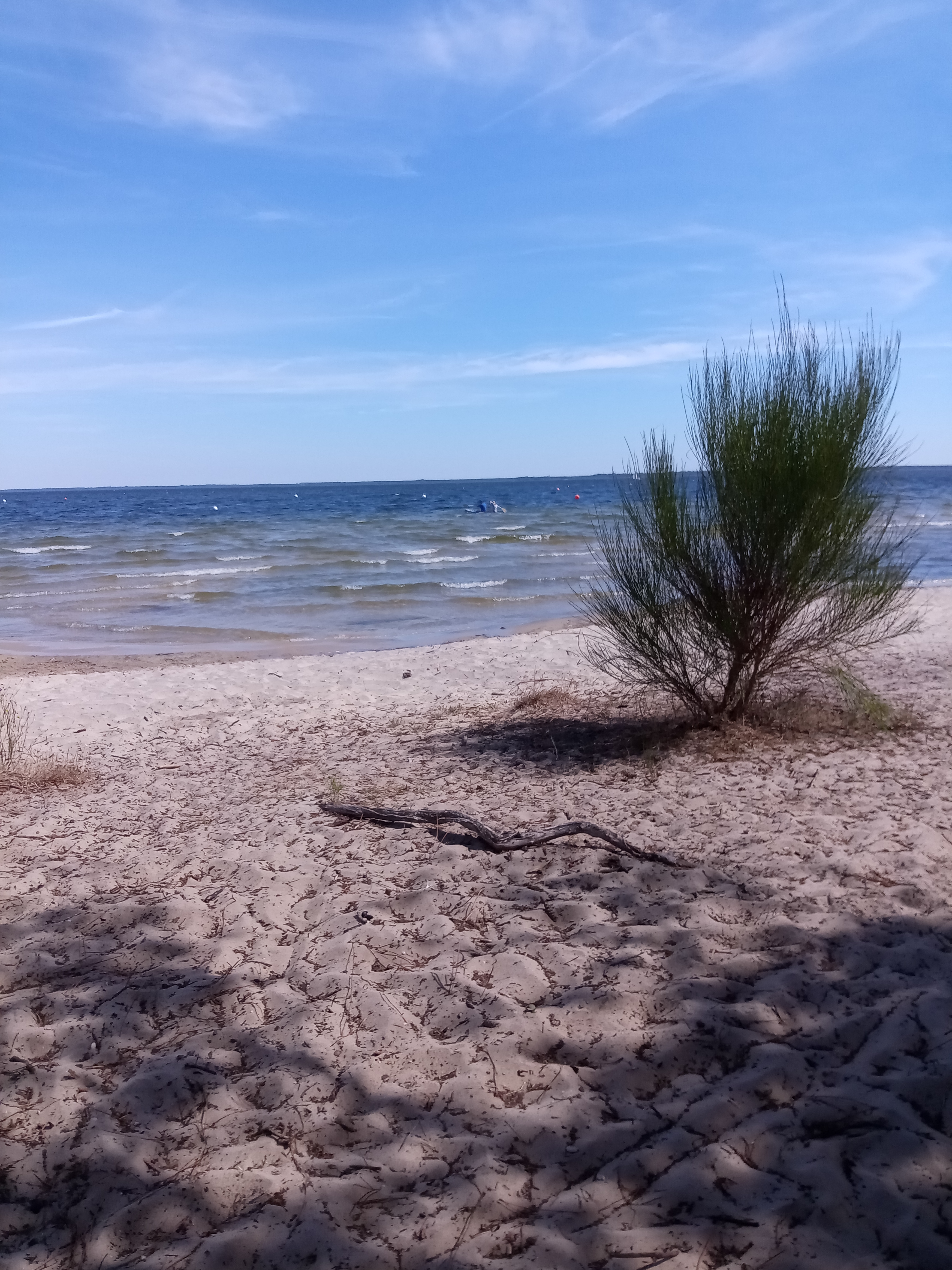 Photo n° 1 de l'avis de jean.l fait le 29/08/2022 à 15:15