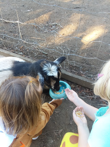 Railroad Company «Flower Farmer», reviews and photos, 2512 N Holly St, Canby, OR 97013, USA