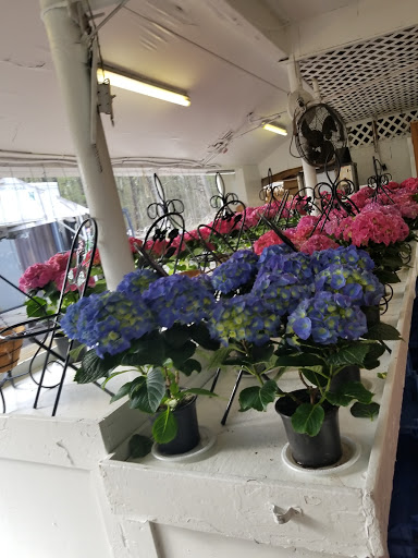 Grocery Store «Red Top Farm Market», reviews and photos, 1801 NJ-70, Southampton Township, NJ 08088, USA