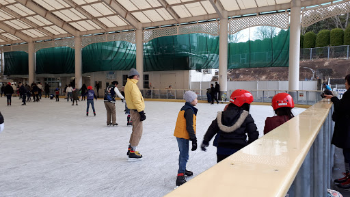 Kodomo-No-Kuni Ice Skating Rink
