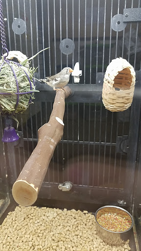 Pet Supply Store «PetSmart», reviews and photos, 132 NJ-31, Flemington, NJ 08822, USA