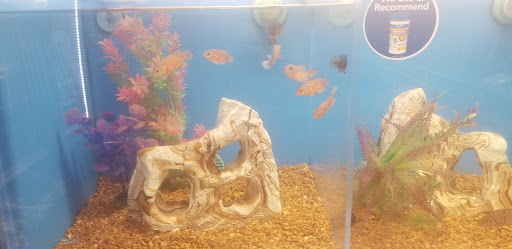 Pet Supply Store «PetSmart», reviews and photos, 7574 Voice of America Centre Dr, West Chester Township, OH 45069, USA