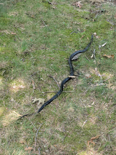 Golf Course «Blackmoor Golf Course», reviews and photos, 1220 Kragel Rd, Richmond, OH 43944, USA