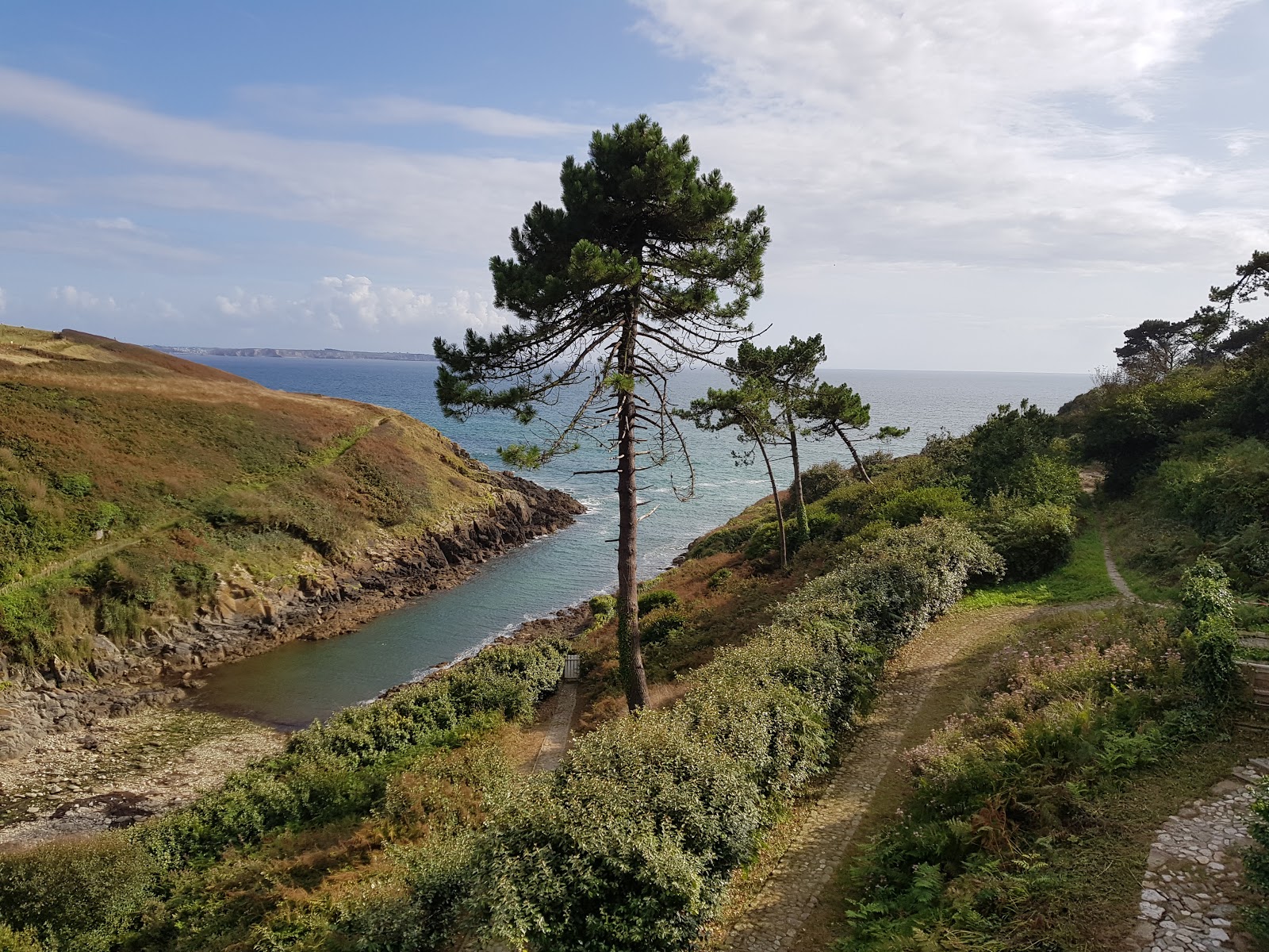 Greve de Deolen Beach'in fotoğrafı çok temiz temizlik seviyesi ile