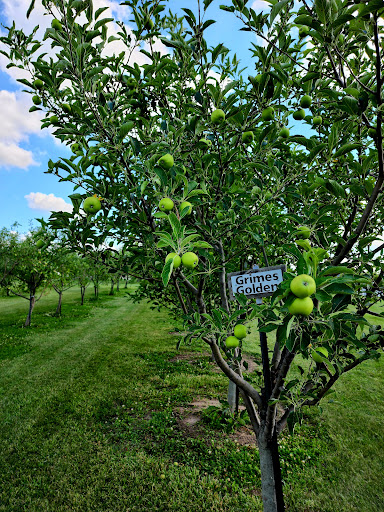 Winery «Winterset Cidery, L.L.C.», reviews and photos, 1638 US-169, Winterset, IA 50273, USA