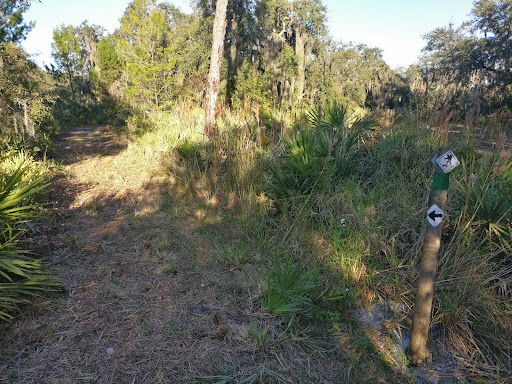 Park «Stephen J. Wortham Park», reviews and photos, 12108 Rhodine Rd, Riverview, FL 33579, USA