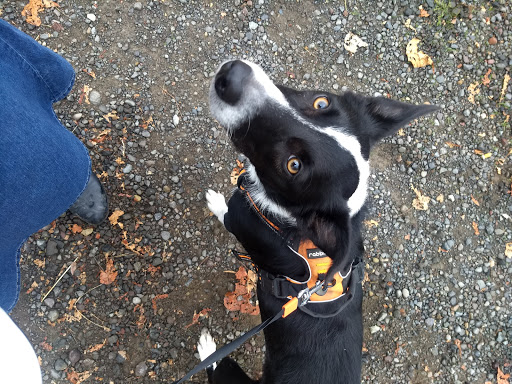 Park «Powell Butte Nature Park», reviews and photos, 16160 SE Powell Blvd, Portland, OR 97236, USA