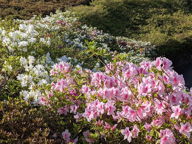 さつきの郷 神奈川県湯河原町吉浜星ヶ山 公園 公園 グルコミ