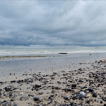Photo n° 4 de l'avis de Fred.o fait le 06/08/2023 à 11:37 pour Le Tréport plage à Le Tréport