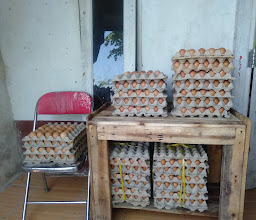 Jual Telur photo